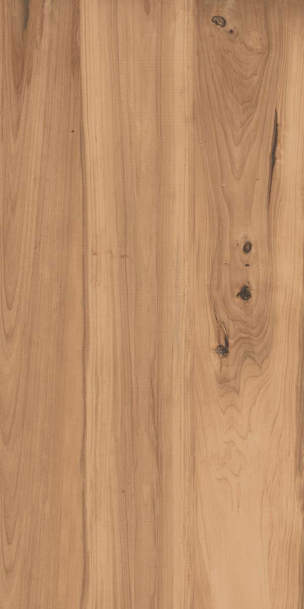 BEECH BROWN F4